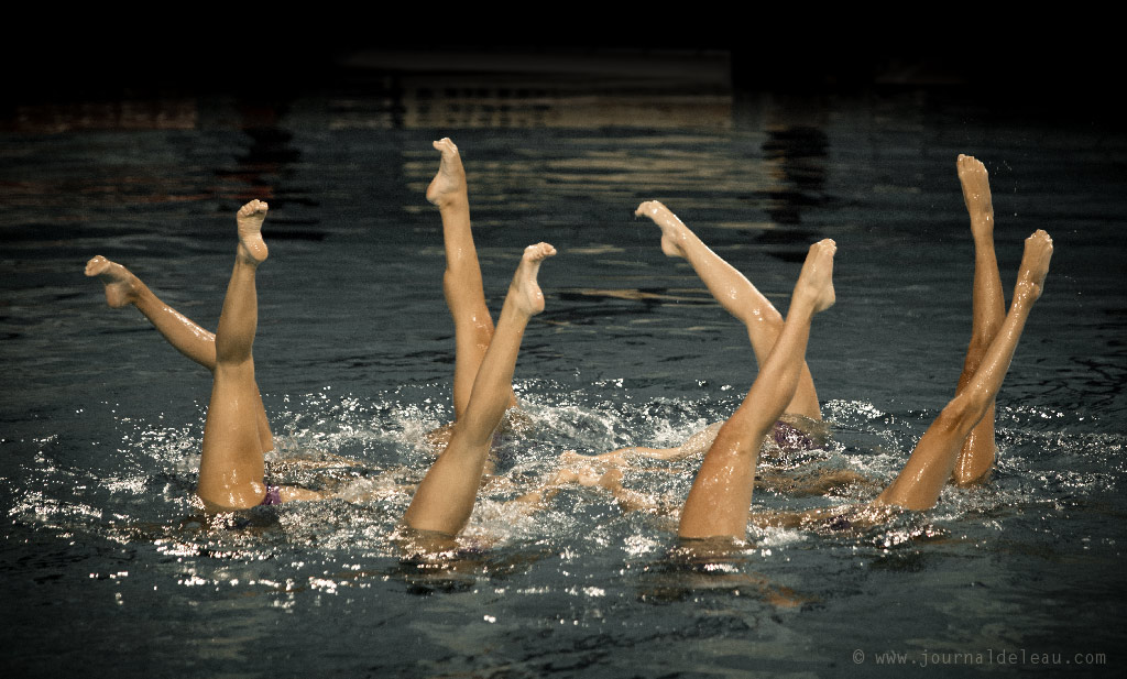 european championships synchronised swimming eindhoven teams free gre