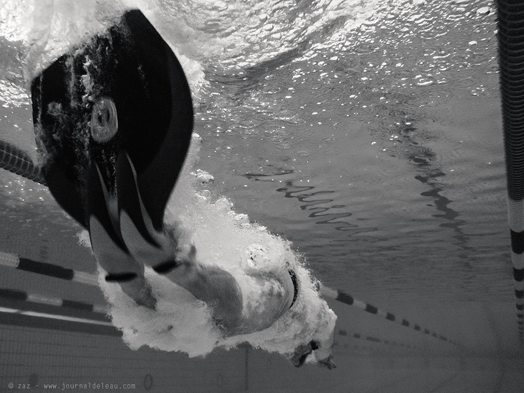 nage avec palme photo de plongeon