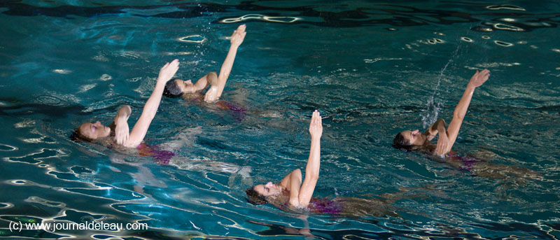 Cà chauffe sur la banquise - Final - Entraîneurs du Suresnes Sport Nautiques