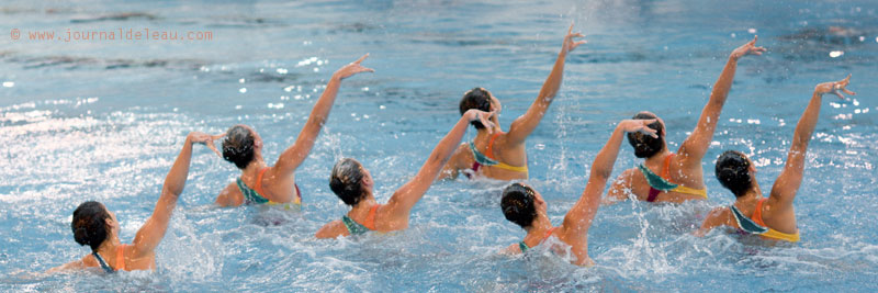 nat synchro équipe de France