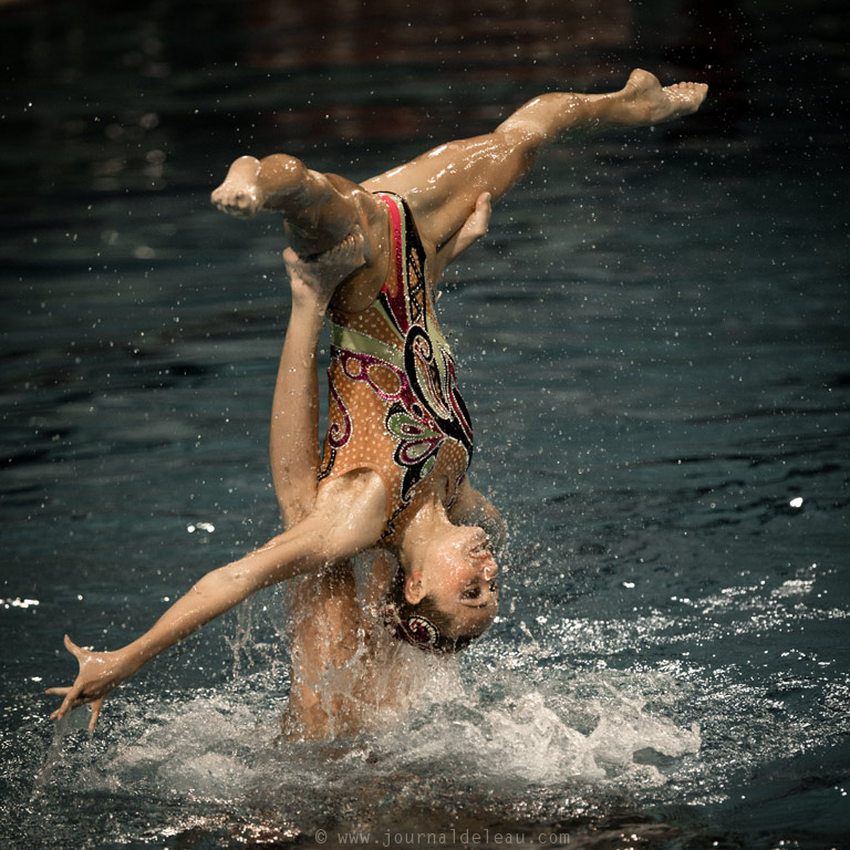 championnat europe nat synchro porte ukraine